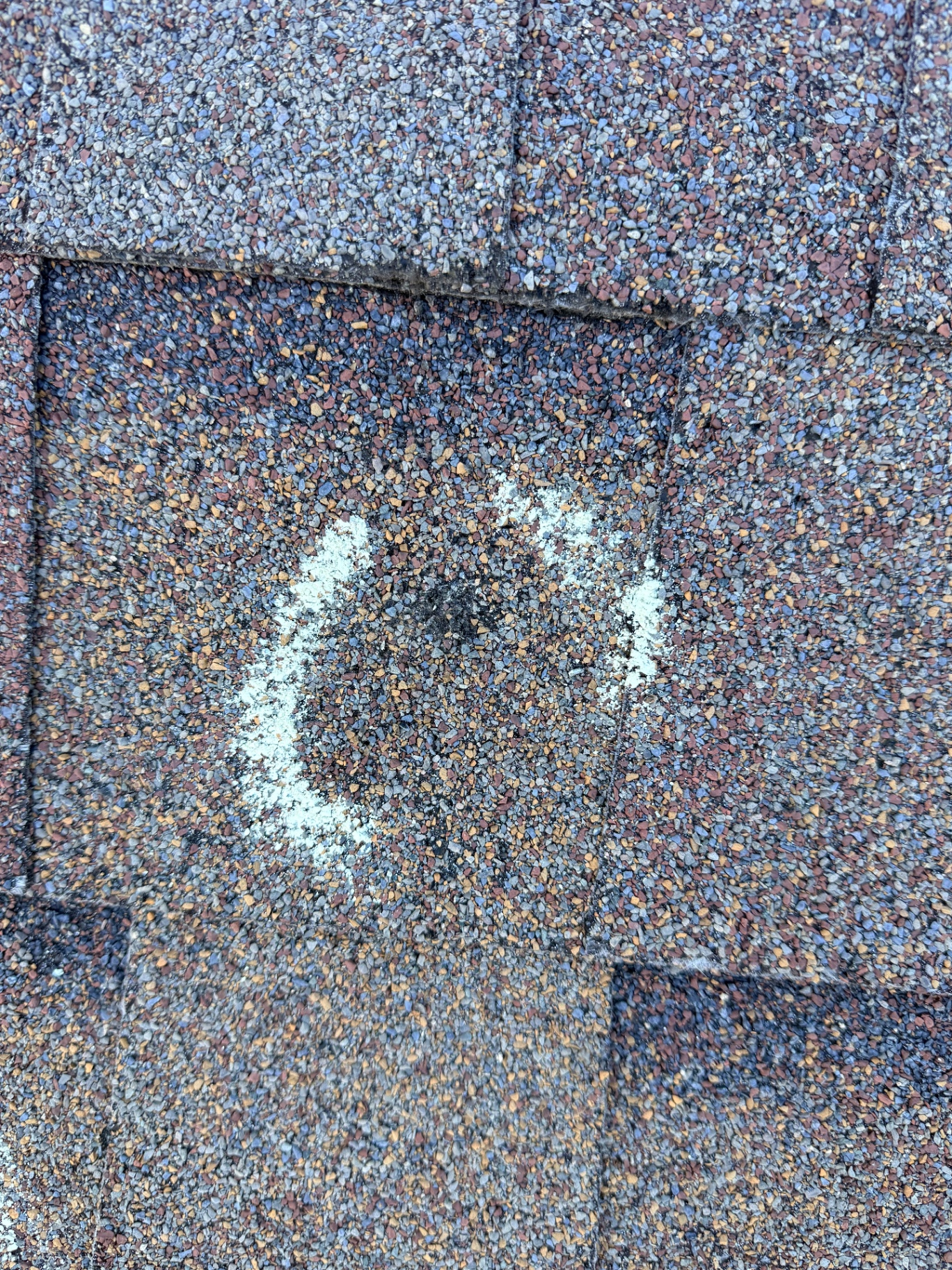 Close-up of a hail-bruised asphalt shingle with fractured granules and exposed mat on a Roseville roof