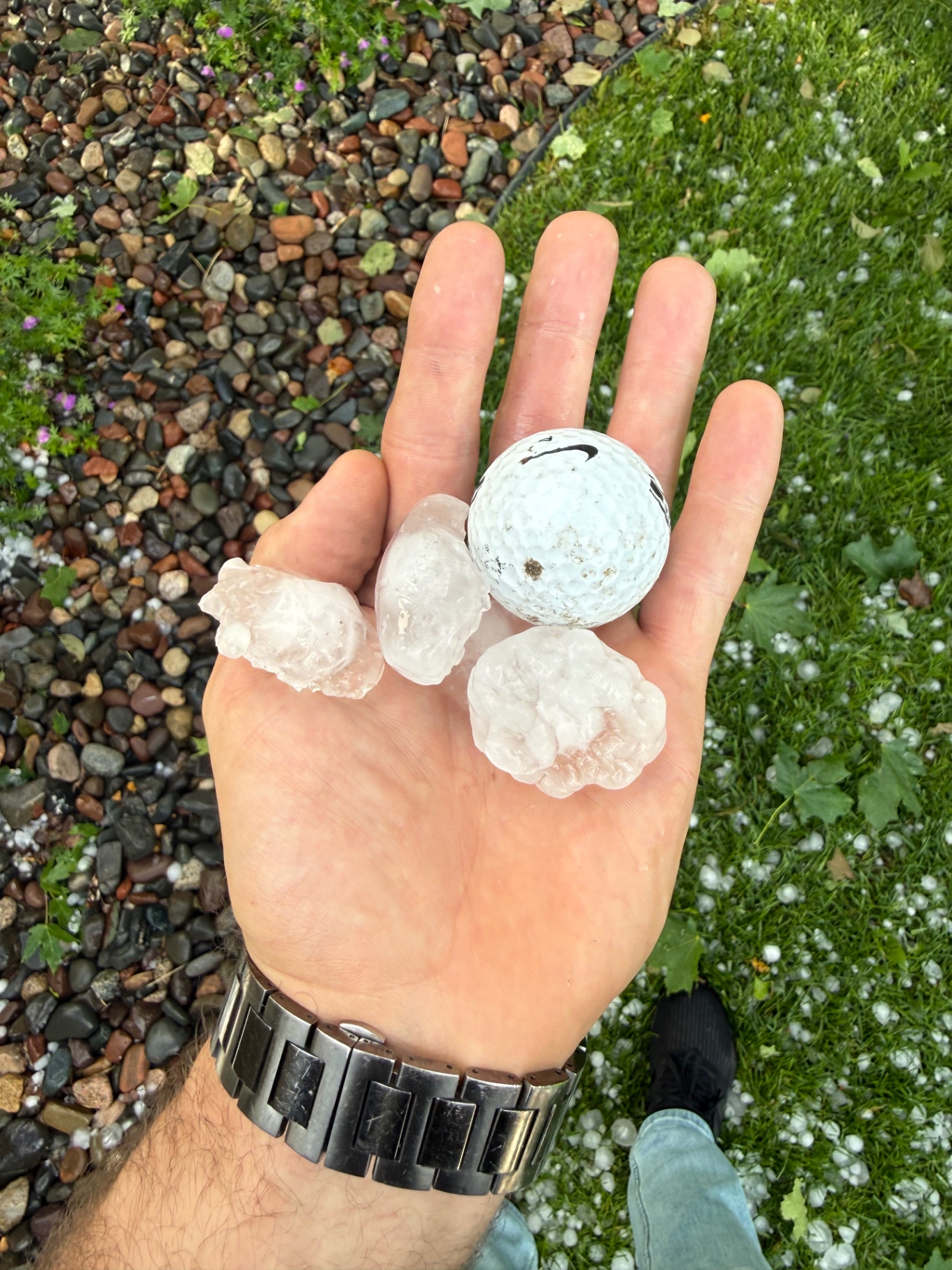 Three hailstones held next to a golf ball for scale after a Chisago City, MN hailstorm