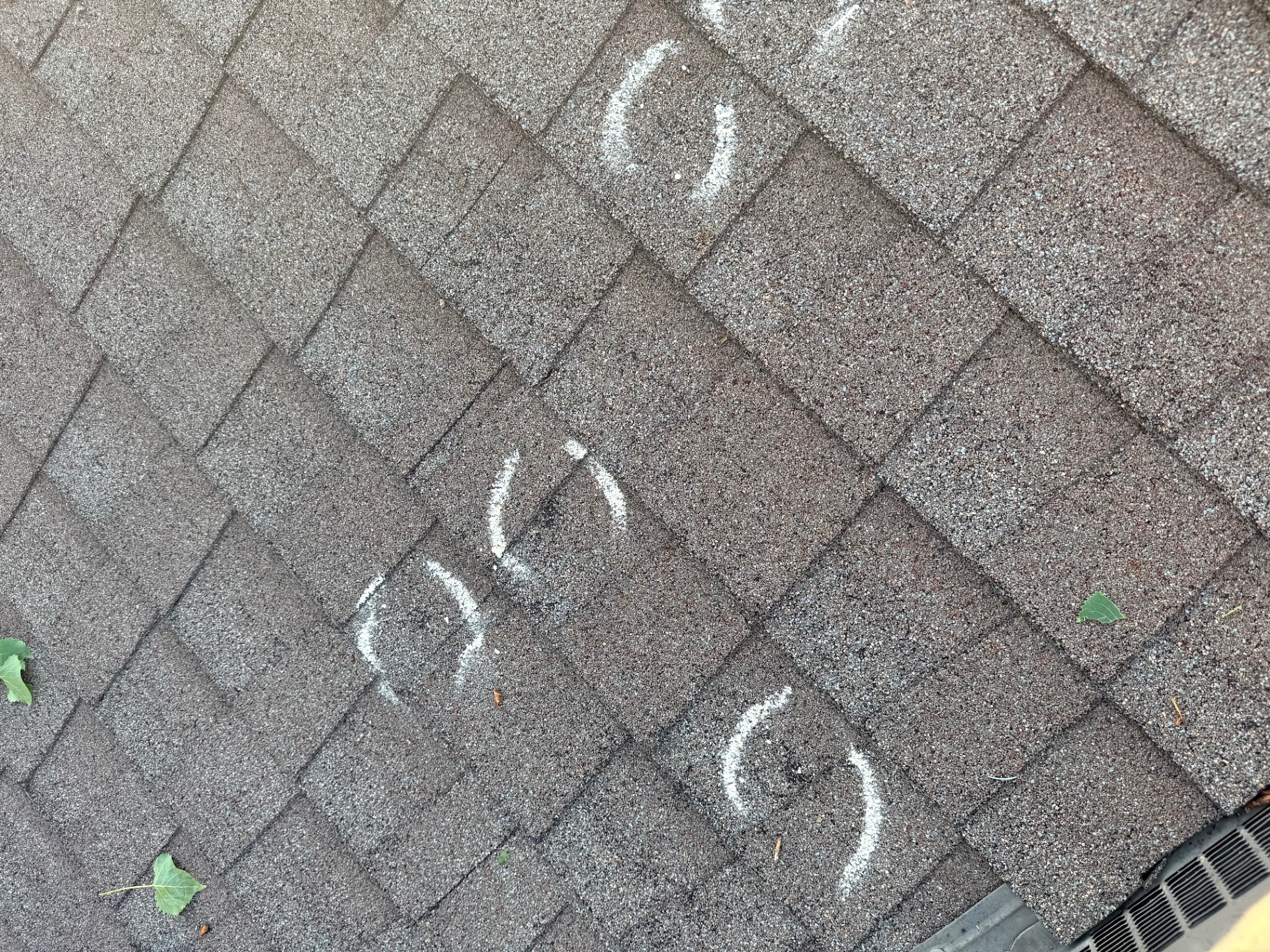 Multiple hail impact bruises circled in chalk on dark gray asphalt shingles during a Chisago City, MN roof inspection